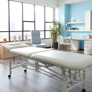 The Latest Developments and Trends Shaping the Electric Beauty Bed