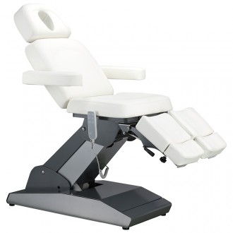 Facial Chair 3930