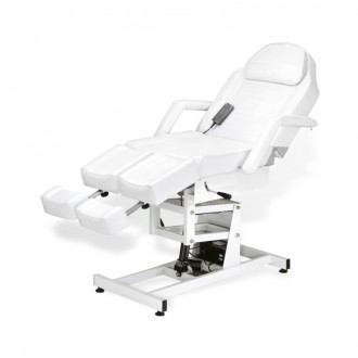 Facial Chair 3909E