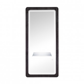 Mirror Station 8028A