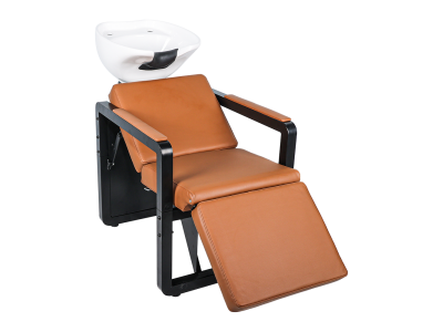 Shampoo Chair 5618