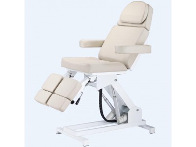 Facial Chair 3913E
