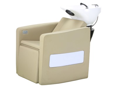Shampoo Chair 5619M-A