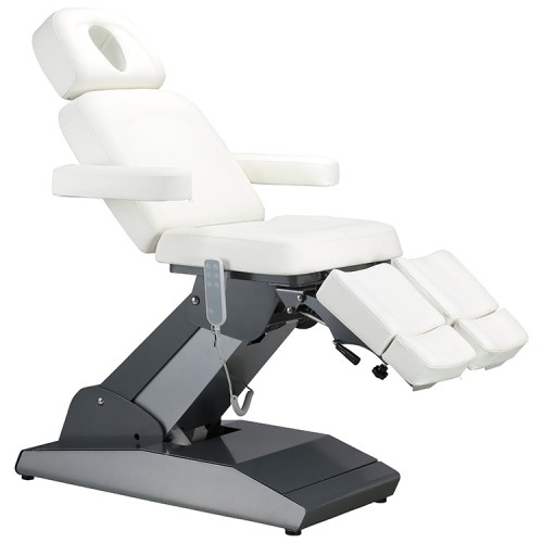 Facial Chair 3930