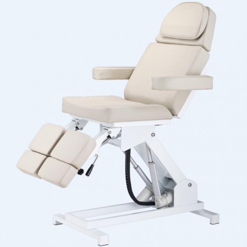Facial Chair 3913E
