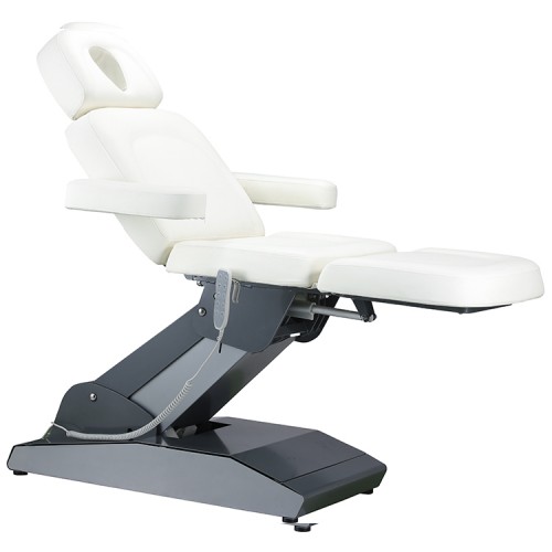 Facial Chair 3920